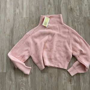 Aritzia Montpellier Merino Wool Waist Turtleneck in Coral Blush